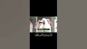 "وَمَا كَانَ لَهُمْ مِنَ اللَّهِ مِنْ وَاقٍ"| سورة غافر(21-20)