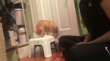 Éibhín Hand, Lesson 3, Exercise 3.5, What Can You Do, Finished Behaviour