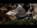 Fluid Flux, Mountain Creek
