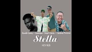 STELLA - Cardinal Protocol Ft. David Wania, Akseldo Leezy & Emaname (Audio)