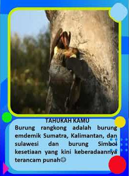 rangkong-burung langka