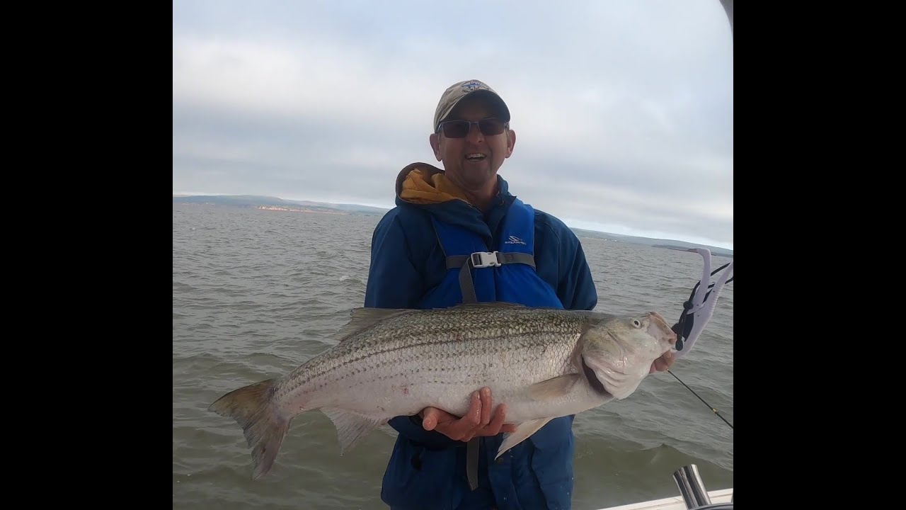 39.5 inch Striped Bass fishing in the Minas Basin, Nova Scotia - YouTube