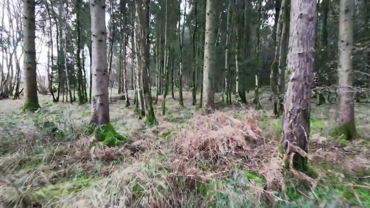 DJI NEO 2 / 3RD FLIGHT / RAW FILE / 30TH JANUARY 2026