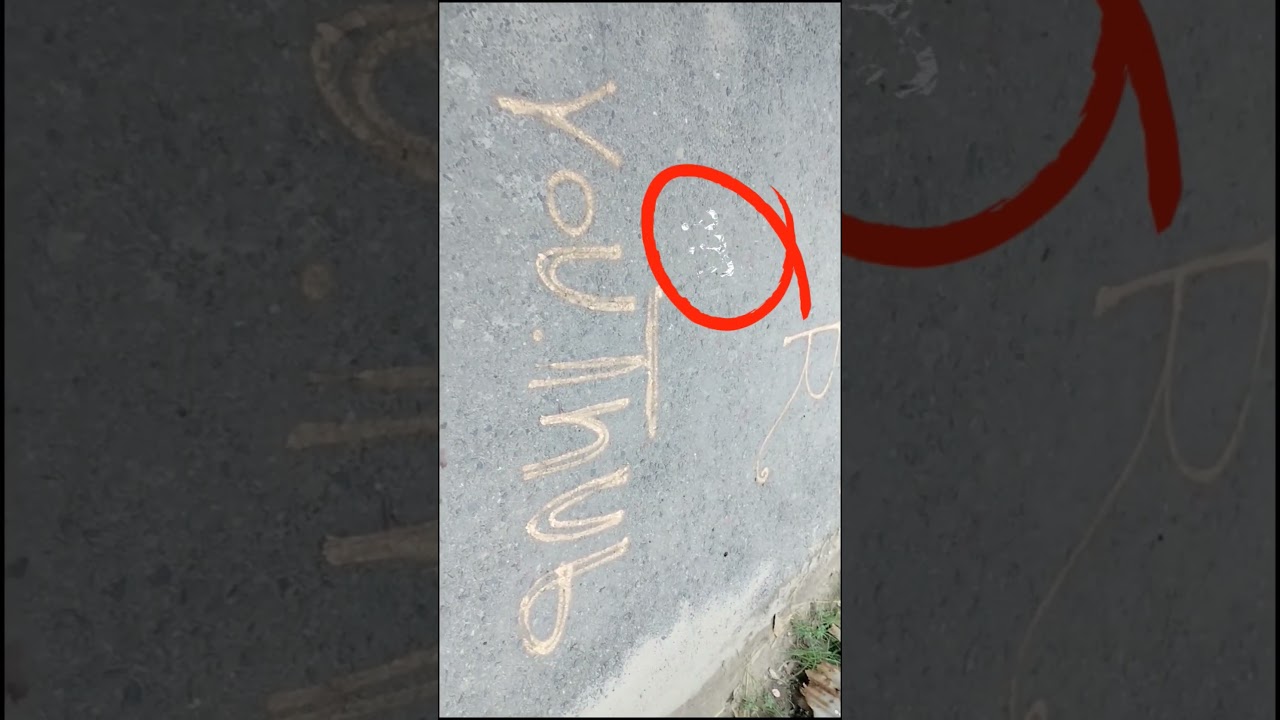 Mr. BD Danger Shorts 