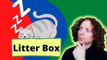 Cat Sleeping In Litter Box | A veterinarian explains why