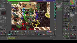 Tibia War Talera- Peto Massive 815 MS + 750 Noobs