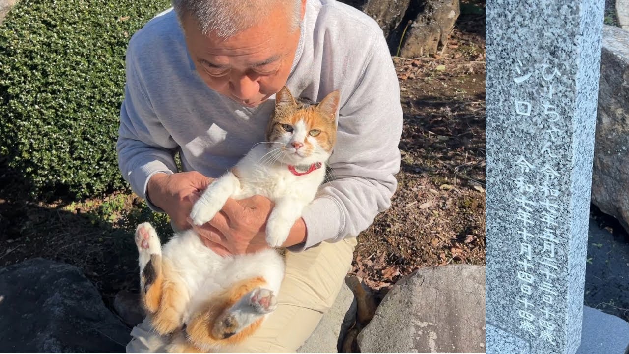 住職抱っこ！猫塚にシロの名前が彫られたよ！！ - YouTube