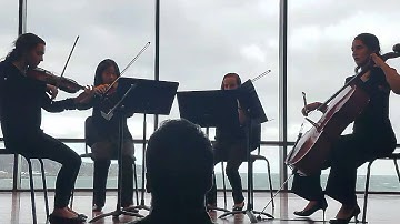 String Quartet in D Major, No. 7, D. 94  by Franz Schubert