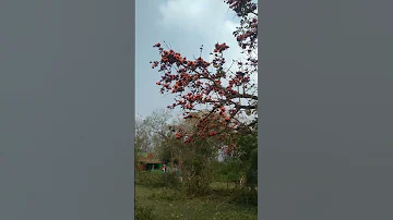16 March 2025 