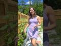 Garden Update #homesteadlife #garden #summergardening #harvesting #beginnergardening