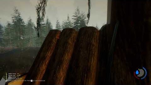 The Forest 0.54b bug - Katana