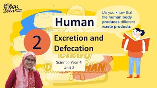 Science Year 4 | Human Excretion And Defecation | - Youtube