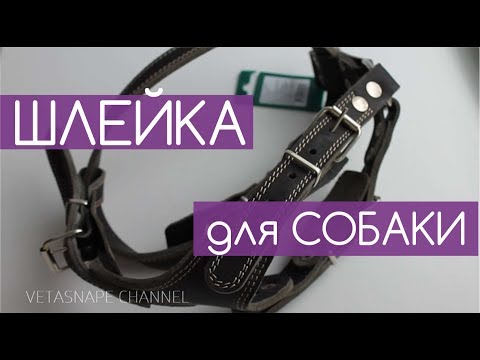 Обзор на шлейку для собаки /Шлейка для собаки Аркон 70-87см