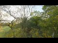 Woodland FPV