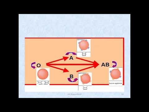 cours svt 4SC immunité intégrité de l organisme act1