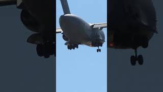 C-17 Globe Master approaching the Sunshine Coast, after taking off at Amberley #aviation #c17