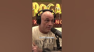 Joe Rogan Drops Immigration Truth Bomb
