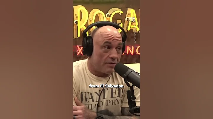 Joe Rogan Drops Immigration Truth Bomb
