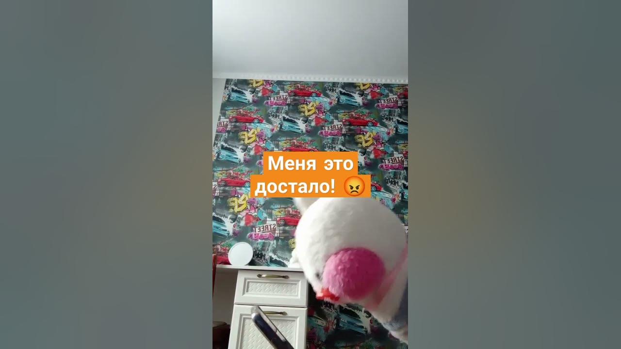 тупой тренд - YouTube