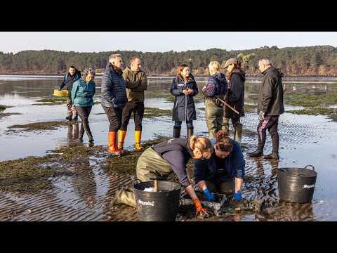 A consellería do Mar continúa coas mostraxes para avaliar o impacto do temporal nas praias