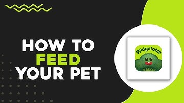 How To Feed Your Pet In Widgetable (Quick & Easy)