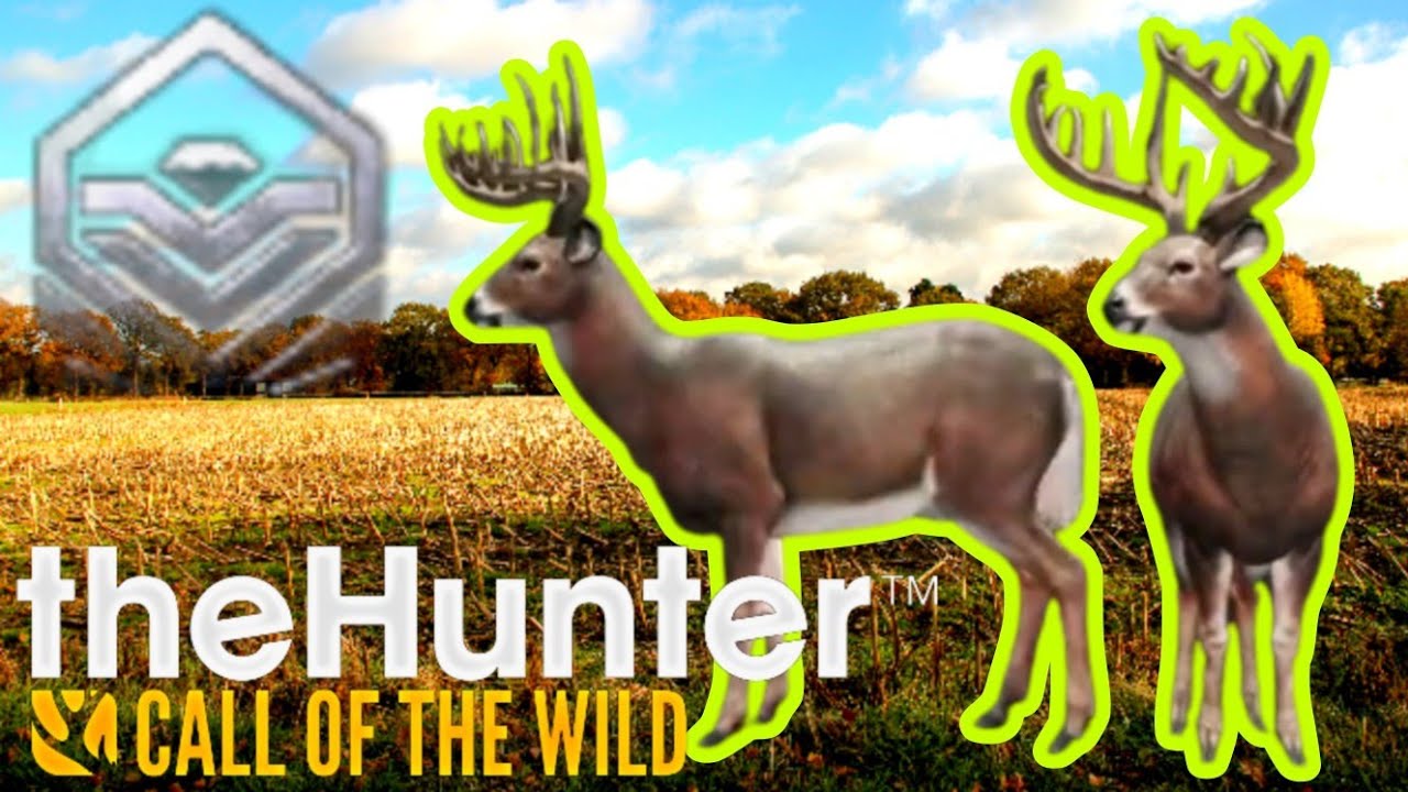 Two Diamond Whitetail On Stream Hunter Call Of The Wild YouTube