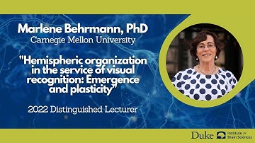 Preview of DIBS Distinguished Lecture 2022: Dr. Marlene Behrmann