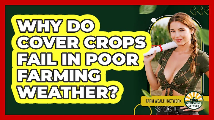 Why Do Cover Crops Fail In Poor Farming Weather? - Farm Wealth Network