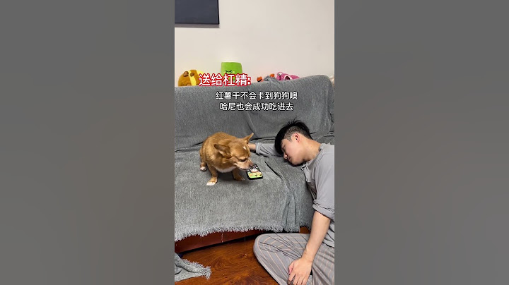 【柯铭】一件大家好奇了很久的事 ，今天就毫無保留的展示吧#日常记录#萌宠记录#萌宠生活#宠物日常#shorts