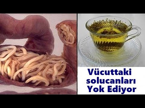 Video: Sürüngenlerde Spirurid Solucan Enfeksiyonu