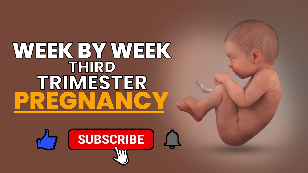 Blossoming Bumps: Navigating the Third Trimester Week-by-Week 🌺👶 - YouTube