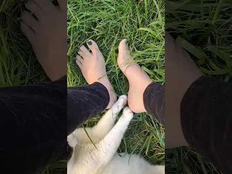 My cat loves my feet