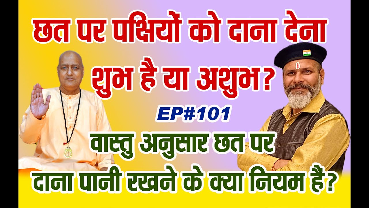 🏠 जानिए घर की छत पर 🐦पक्षियों को दाना खिलाने का सही तरीका और इसके पीछे के ज्योतिषीय कारण।🧭