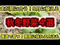 【これ知らないの損】9月まきで爆速で収穫できるオススメ秋冬野菜！食料危機、物価高にも負けない無限ループ栽培