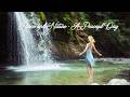 Piano and Nature A Peaceful Day Relaxing Music for Stress Relief and Deep Sleep