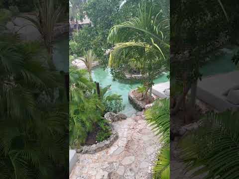 Curaçao! #travel #bestscenery #minivacation #nicescene #beautifulview #beach by The Travel Quest