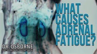 What Causes Adrenal Fatigue?