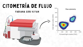 Citometría de flujo