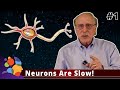 Neurons are slow  machine learning is not like your brain 1