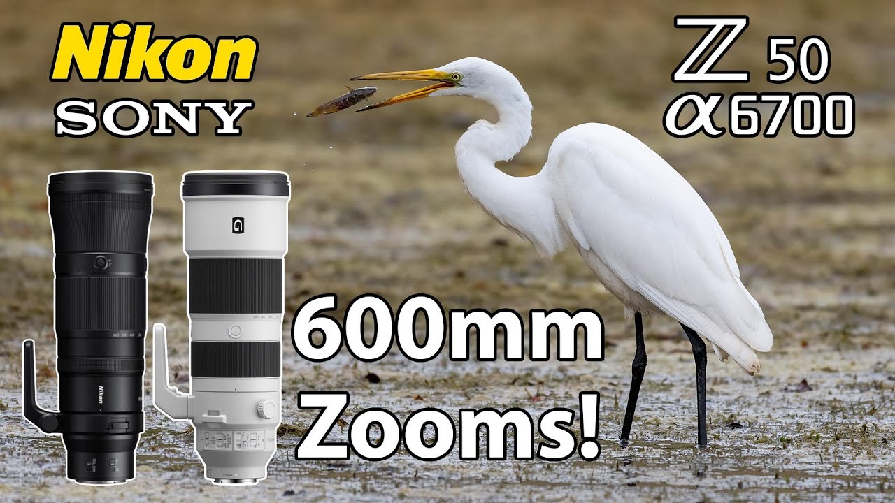 Bird Photography Nikon 180600 Sony 200600 Z50 a6700 YouTube