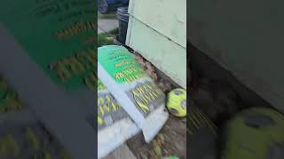 Police gets a wanted person and he get charged of assaulting a officer