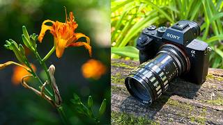 Adapting M39 Lenses to Your Mirrorless Camera