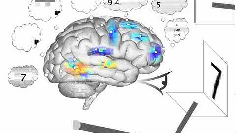 Spaun - Question answering (position)