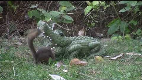 Audio Visual Catnip October 2015