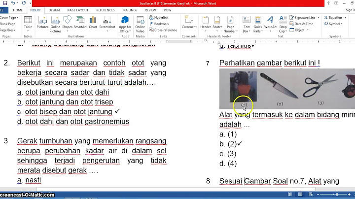 Berikut yang bukan termasuk dalam tulang pelindung otak pada rangka kepala manusia adalah tulang