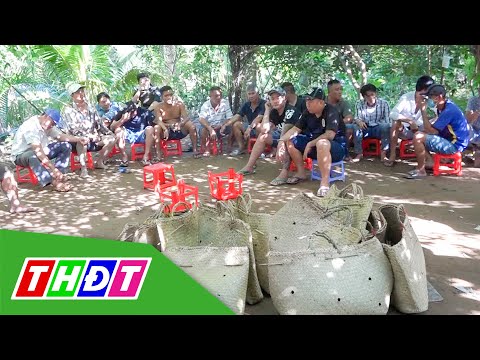 Video Bến Tre: Bắt tụ điểm đá gà, thu giữ gần 150 triệu đồng... - youtube