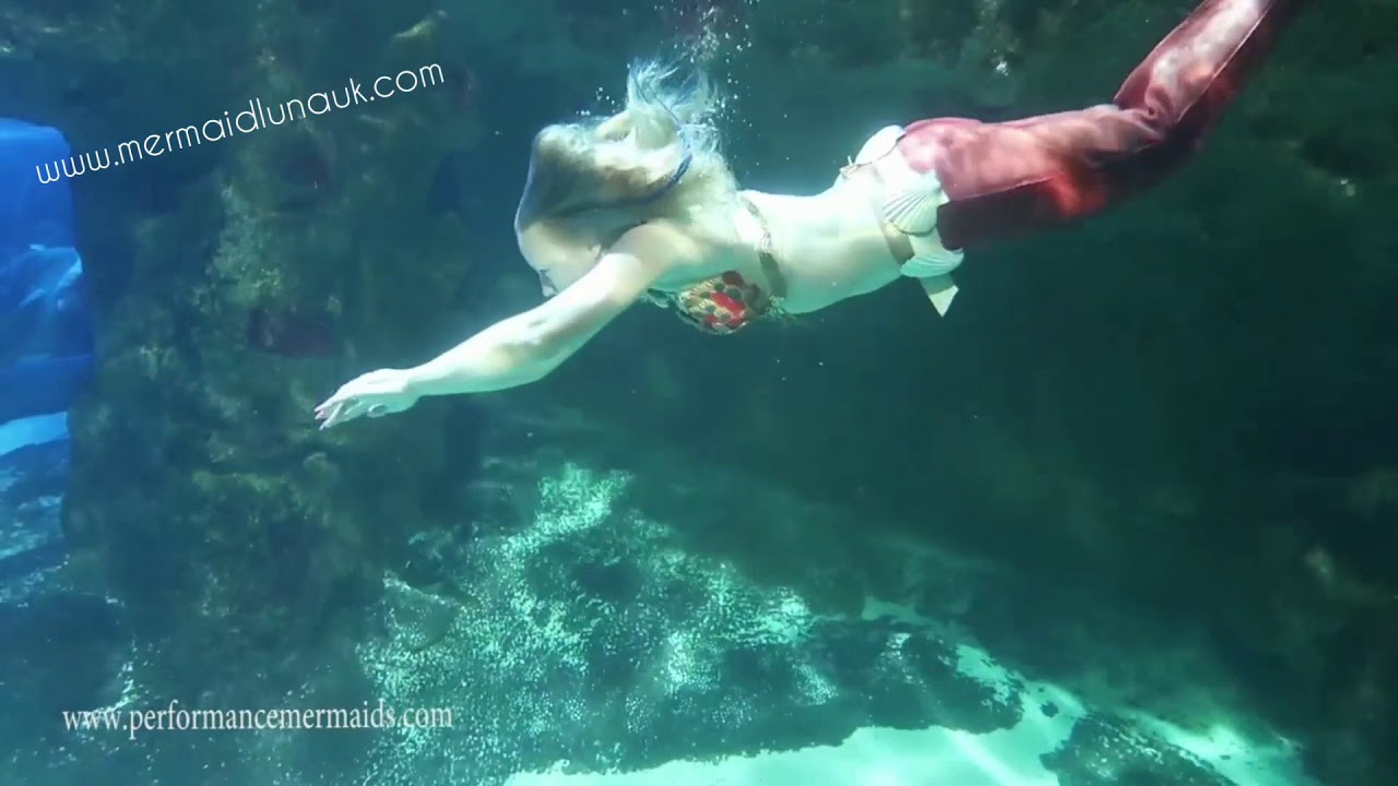 Mermaid Luna swimming at Blue Planet Aquarium wit Performance Mermaids