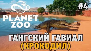 Planet Zoo #4 Гангский гавиал (крокодил)