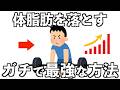しつこい体脂肪を落とす最強の方法10選