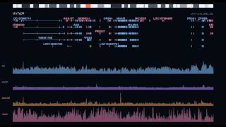 Travel Across the Whole Human Genome: A 4-Hour Scroll with Brown Noise | Sleep · Study · Focus